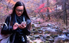 女人的阴性图片 大全